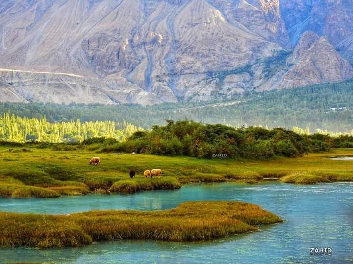 Saling baltistan