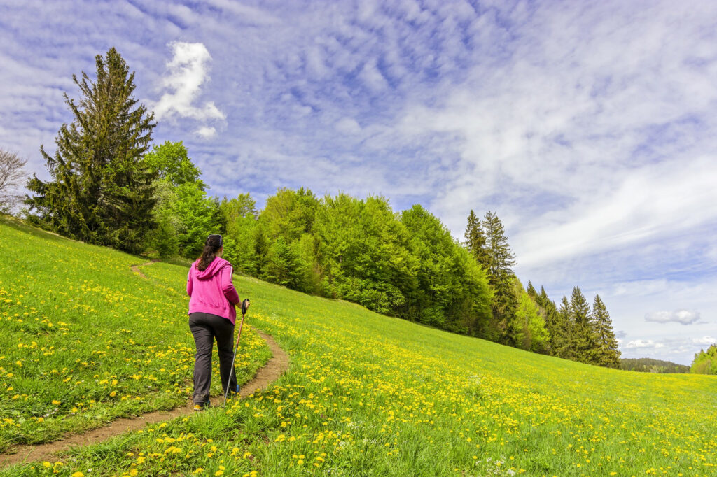 view-female-hiking-green-landscape-covered-trees-during-daytime